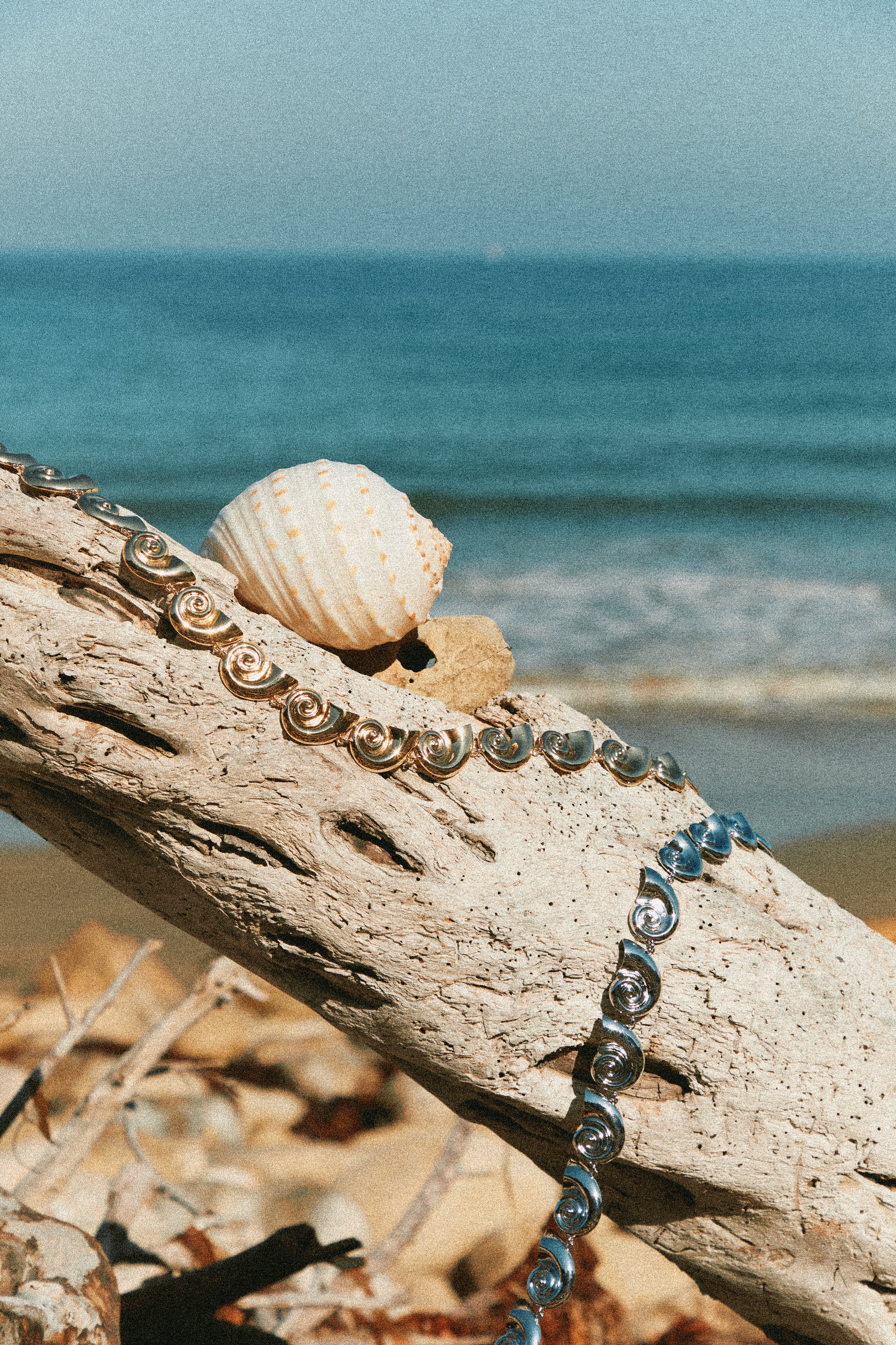 Leilani Sea Shell Chain Belt - Silver - Image 13